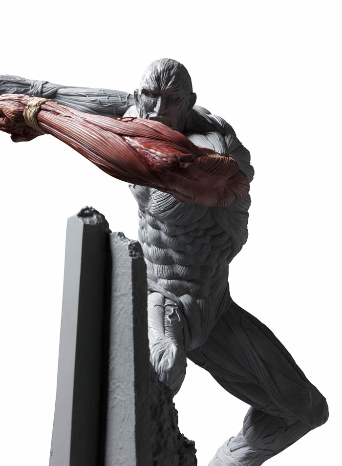 Shingeki no Kyojin - Chou-ougata Kyojin - Ultimate Modeling Collection Figure (Plex) photo 22
