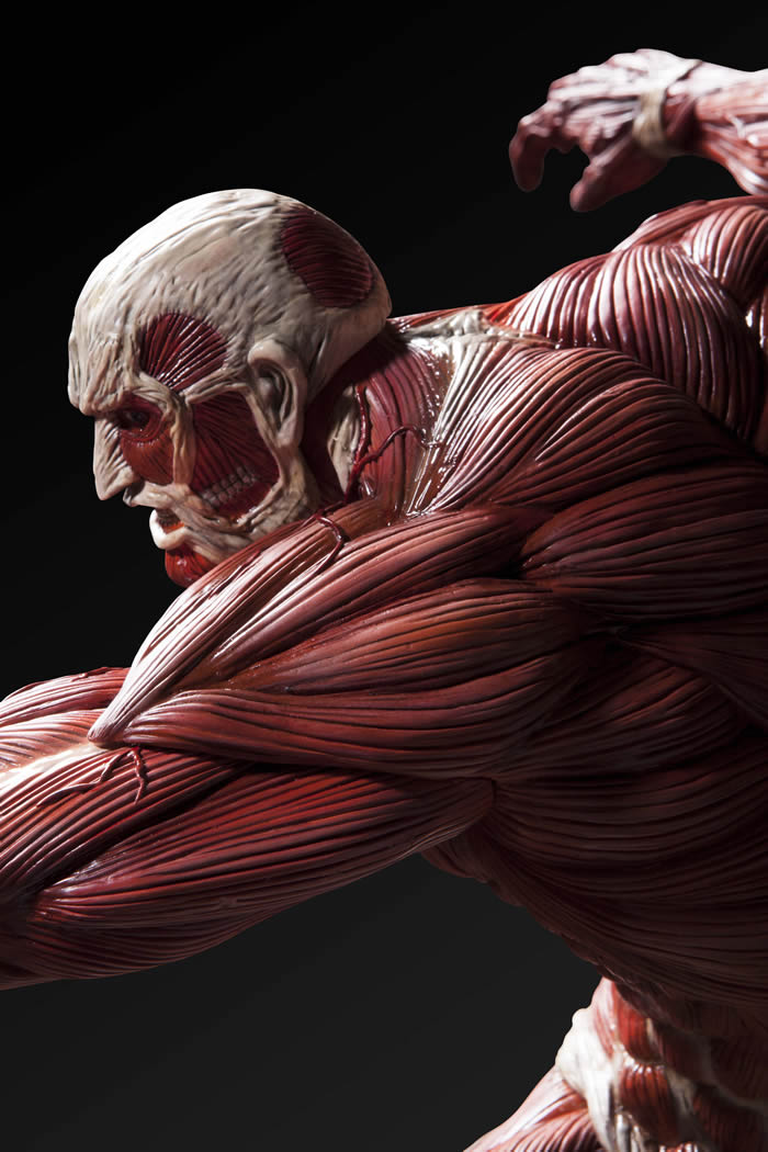 Shingeki no Kyojin - Chou-ougata Kyojin - Ultimate Modeling Collection Figure (Plex) photo 37