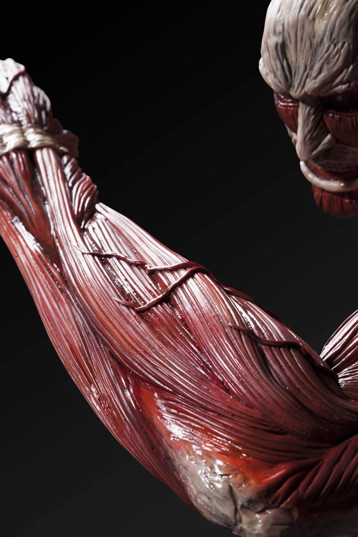 Shingeki no Kyojin - Chou-ougata Kyojin - Ultimate Modeling Collection Figure (Plex) photo 43