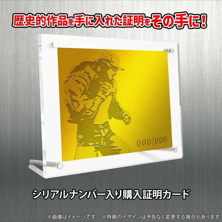 The King of Fighters - Terry Bogard - The King of Collectors'24 (Special) - Dot Art Color Ver. (Studio24) photo 20