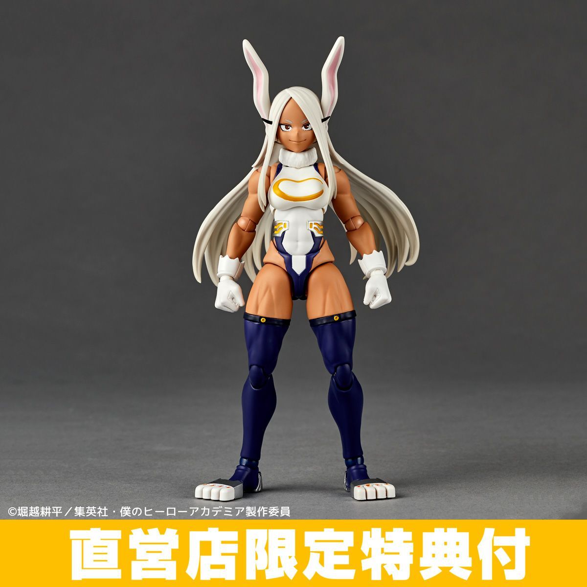 Boku no Hero Academia - Mirko - Revoltech (NR054, NR123) (Kaiyodo) photo 8