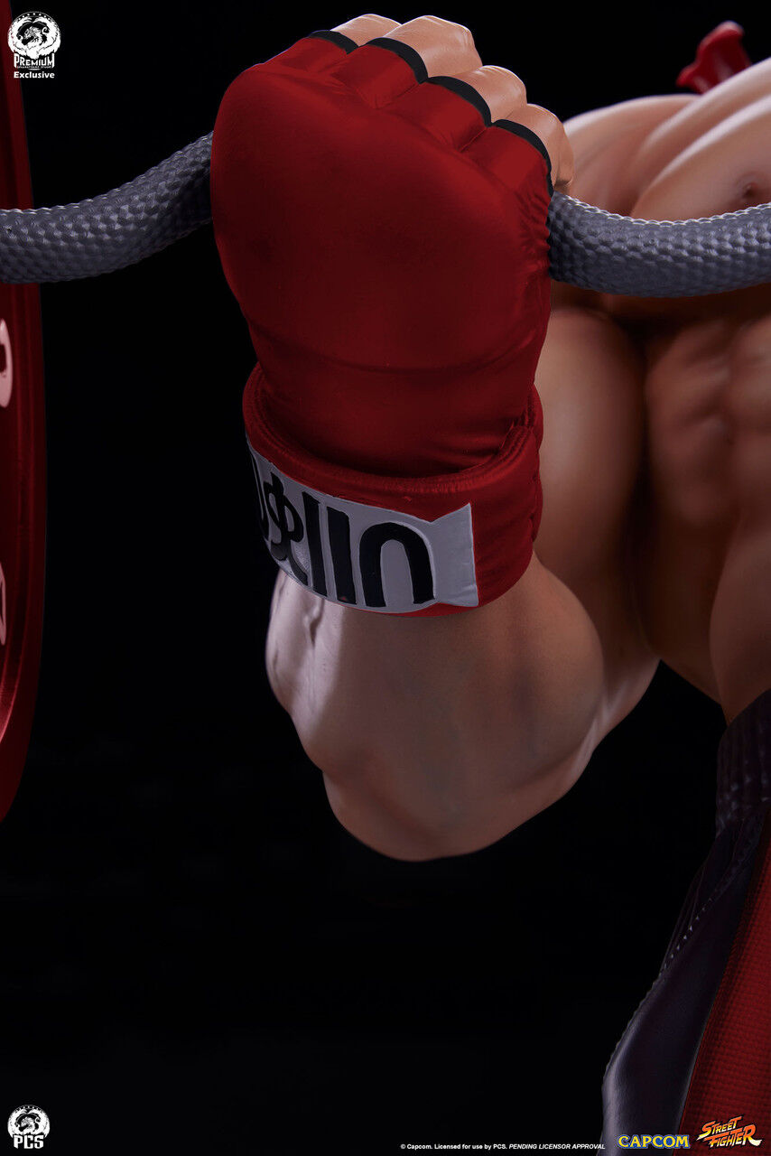 Street Fighter - Ryu - Gym/Fitness/Powerlifting - 1/4 - Classic (Premium Collectibles Studio) photo 12
