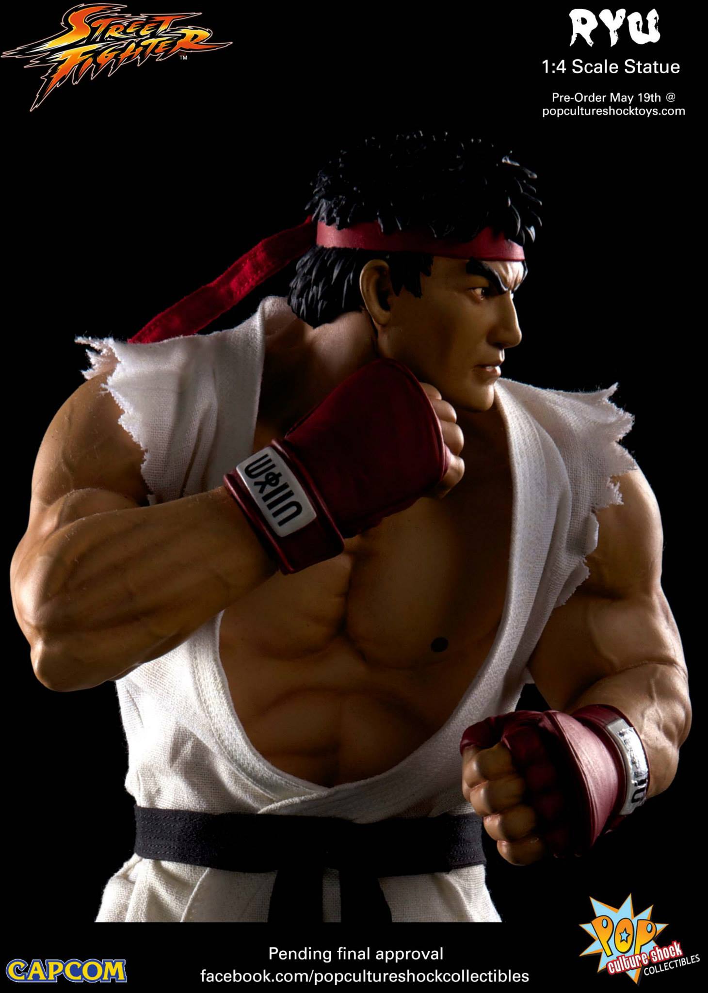Street Fighter IV - Ryu - Mixed Media - 1/4 - Ansatsuken (Premium Collectibles Studio) photo 9