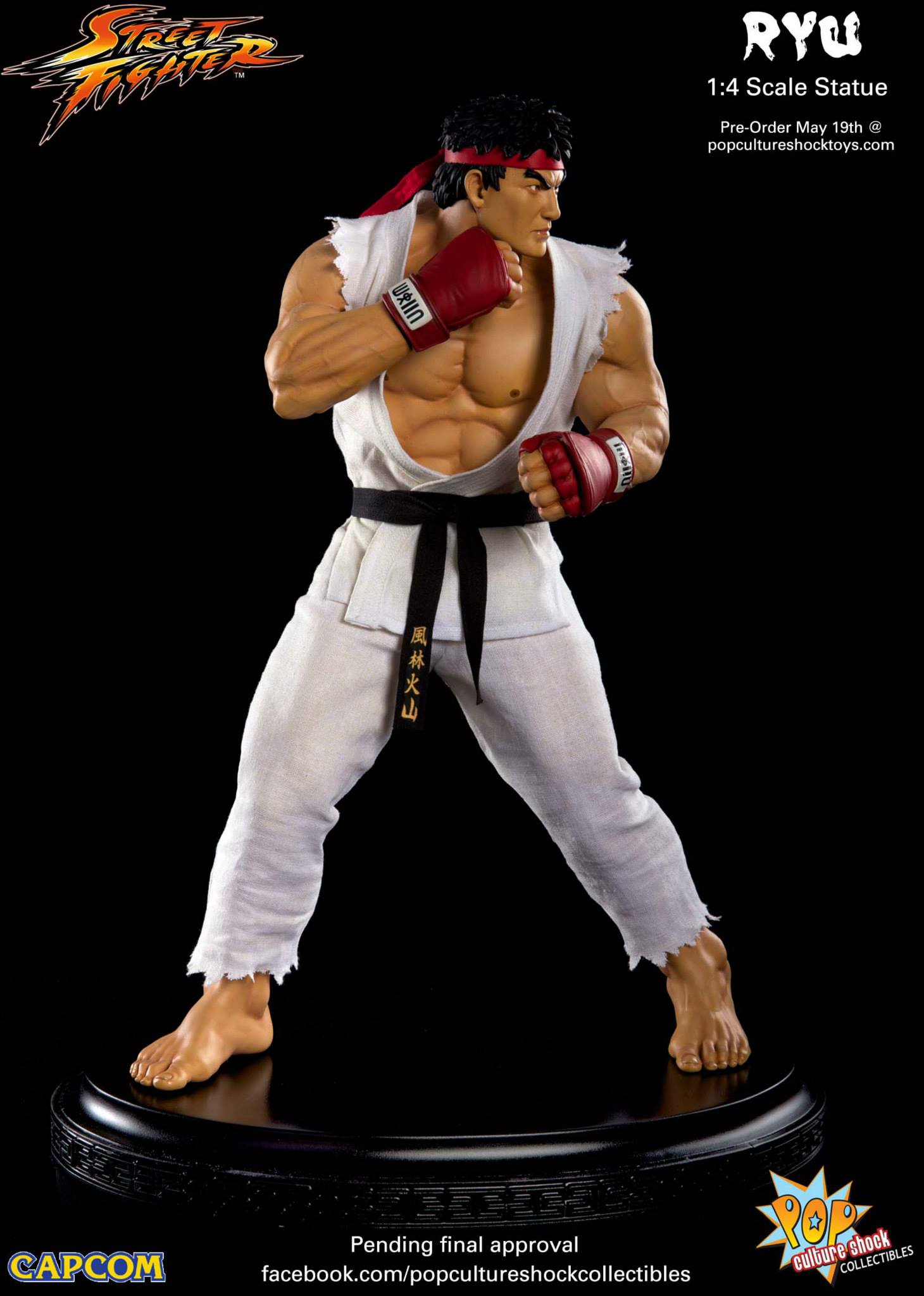 Street Fighter IV - Ryu - Mixed Media - 1/4 - Ansatsuken (Premium Collectibles Studio) photo 10