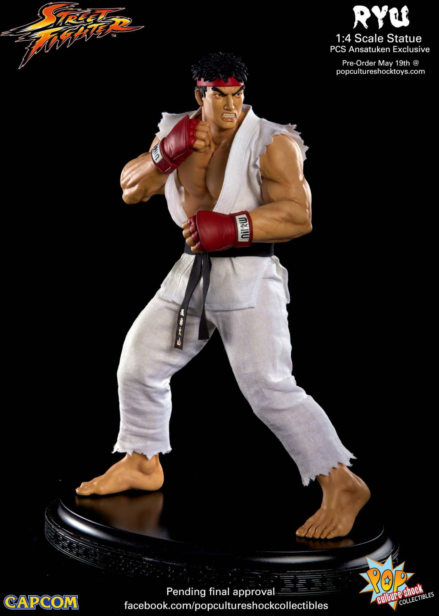 Street Fighter IV - Ryu - Mixed Media - 1/4 - Ansatsuken (Premium Collectibles Studio) photo 12