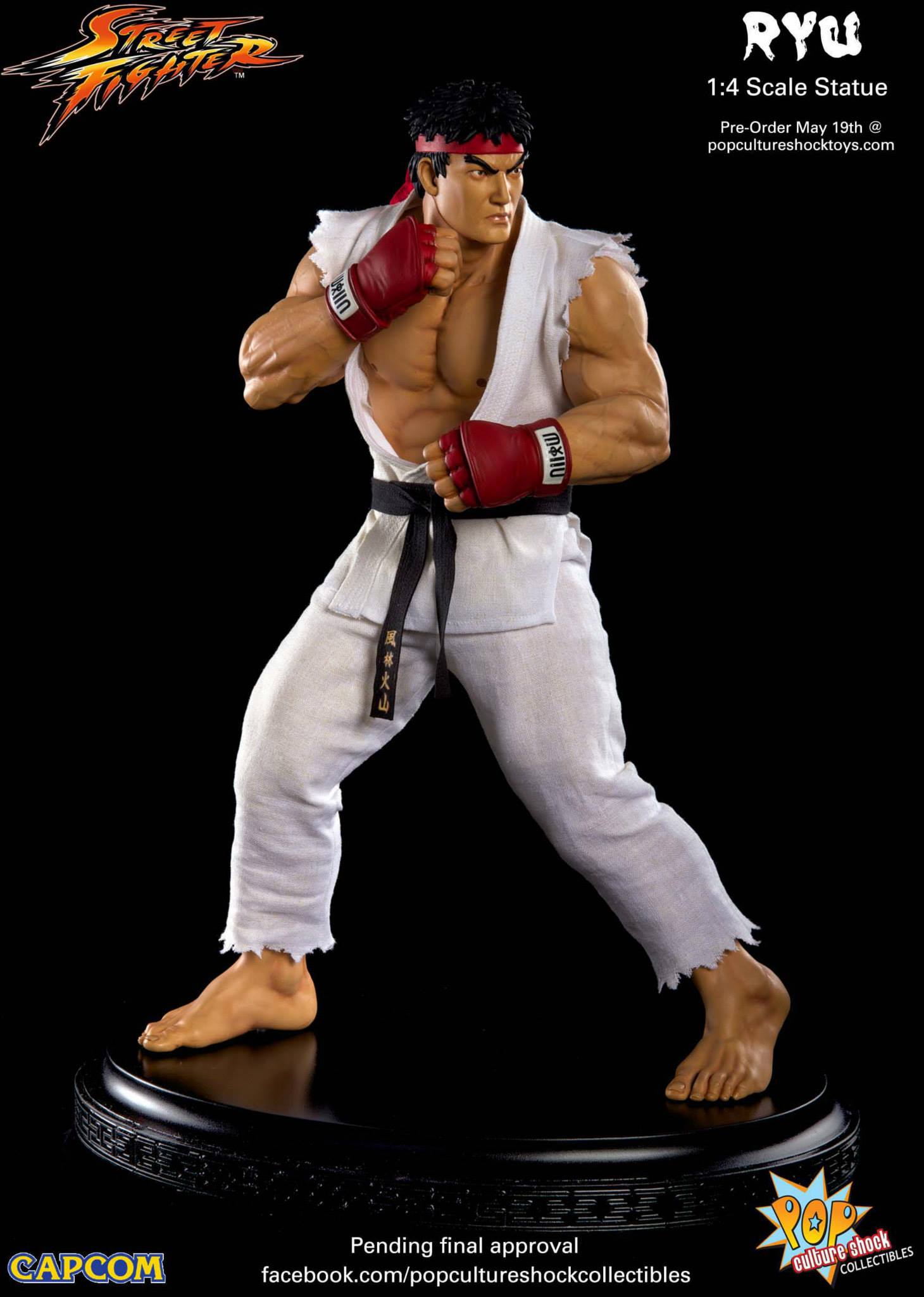 Street Fighter IV - Ryu - Mixed Media - 1/4 - Ansatsuken (Premium Collectibles Studio) photo 14
