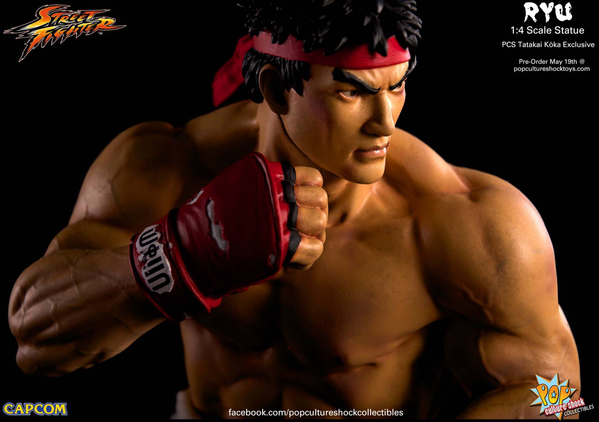 Street Fighter IV - Ryu - Mixed Media - 1/4 - Tatakai Kouka (Premium Collectibles Studio) photo 4