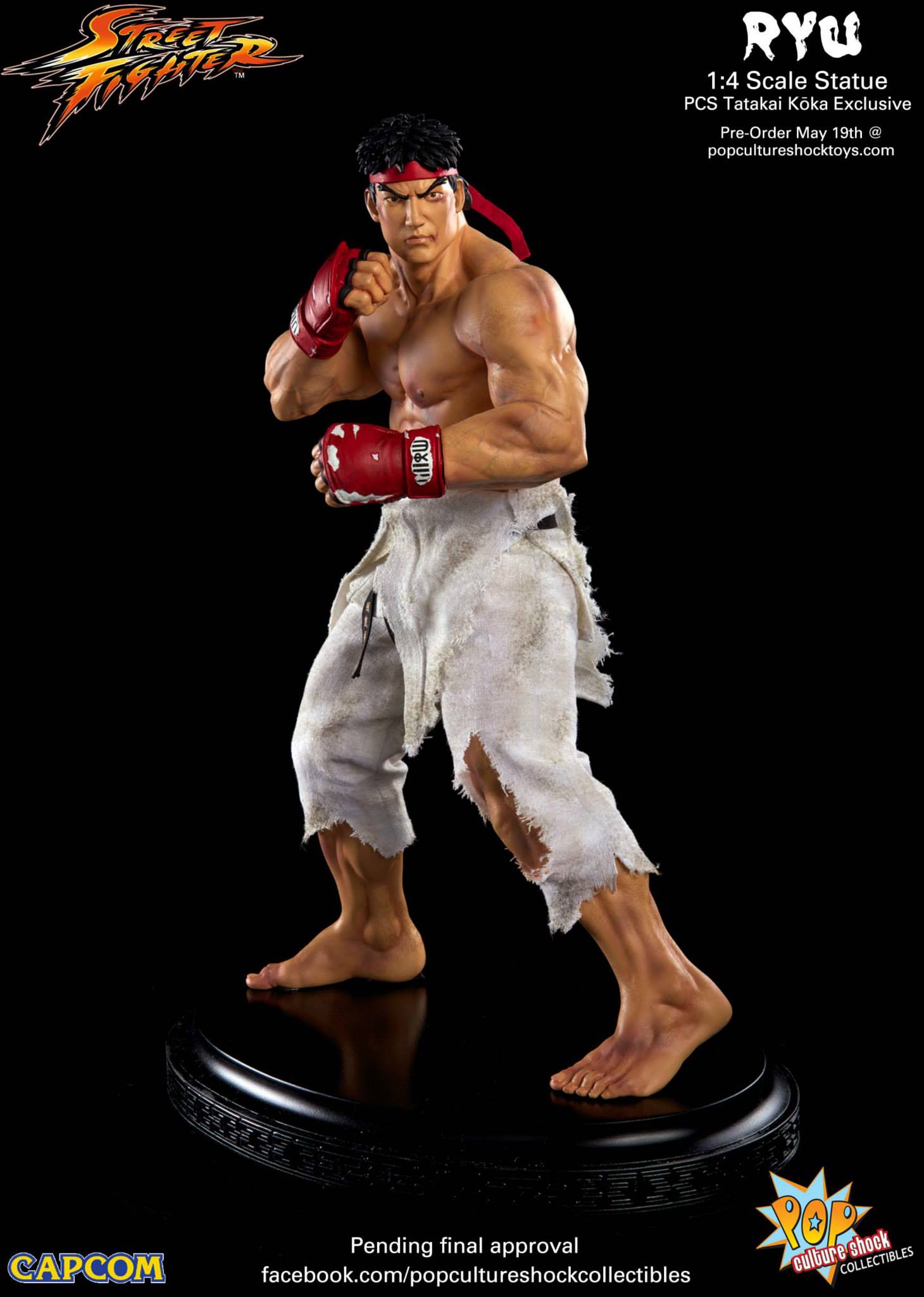 Street Fighter IV - Ryu - Mixed Media - 1/4 - Tatakai Kouka (Premium Collectibles Studio) photo 10