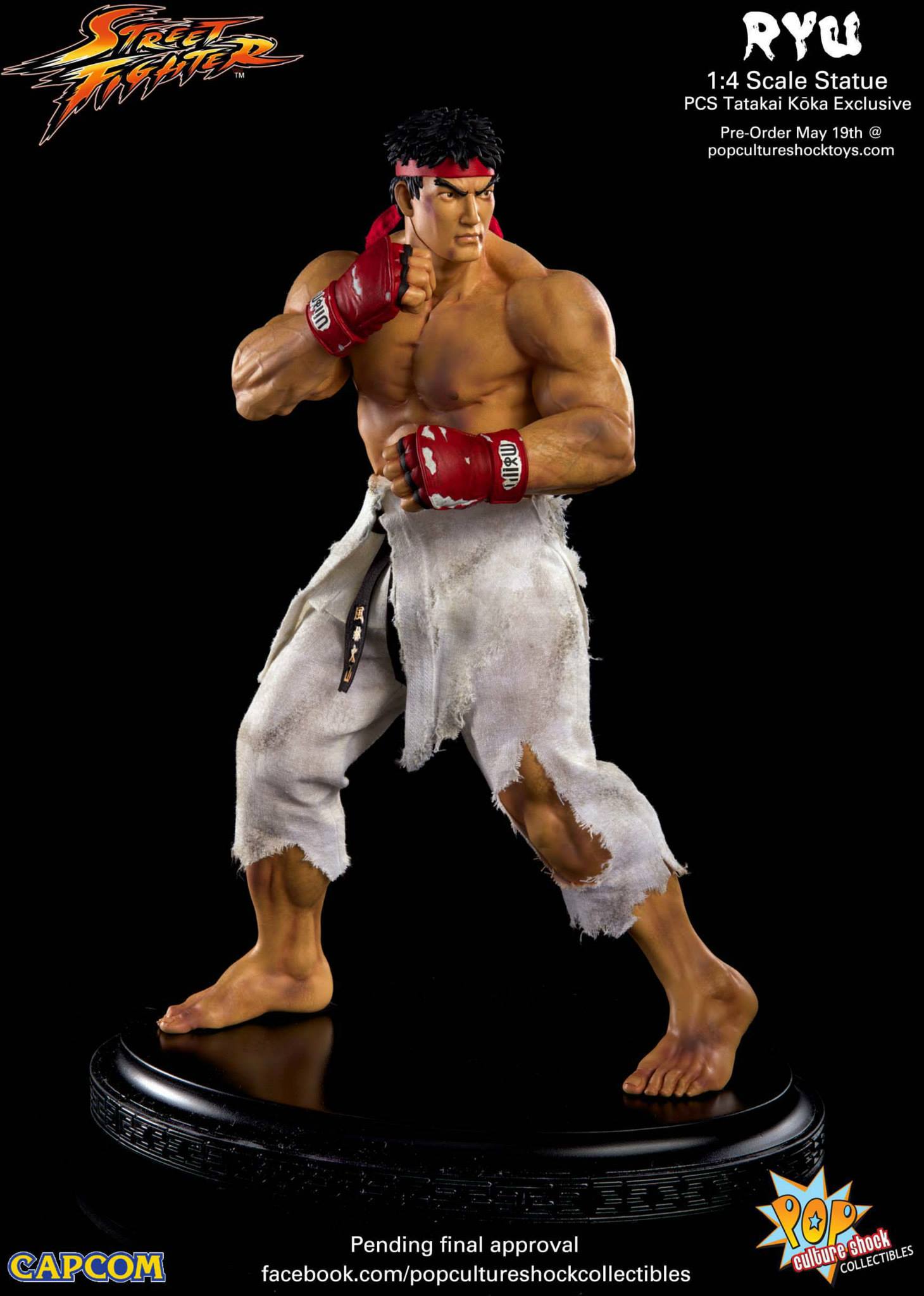 Street Fighter IV - Ryu - Mixed Media - 1/4 - Tatakai Kouka (Premium Collectibles Studio) photo 18