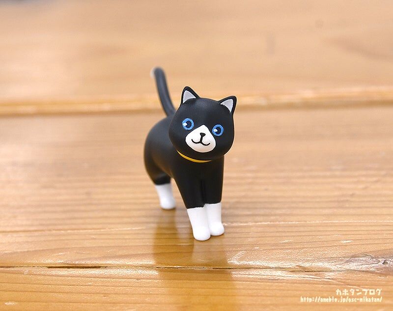Persona 5 The Royal - Morgana - Shujinkou - Nendoroid (#2435) - School Uniform Ver. (Good Smile Company) photo 14