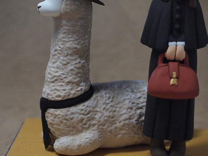 Fluffy Doctor (Honda Koji Shokai) photo 4
