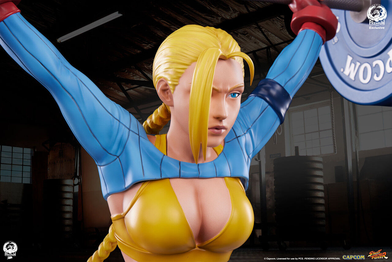 Street Fighter - Cammy - Gym/Fitness/Powerlifting - 1/4 - Alpha Edition (Premium Collectibles Studio) photo 23