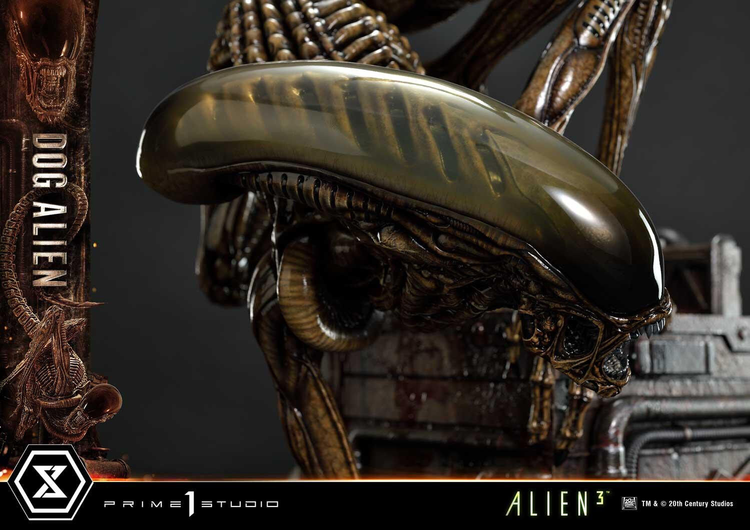Alien 3 - Dog Alien - Museum Masterline XL (MMXLAL-01) - 1/3 (Prime 1 Studio) photo 31