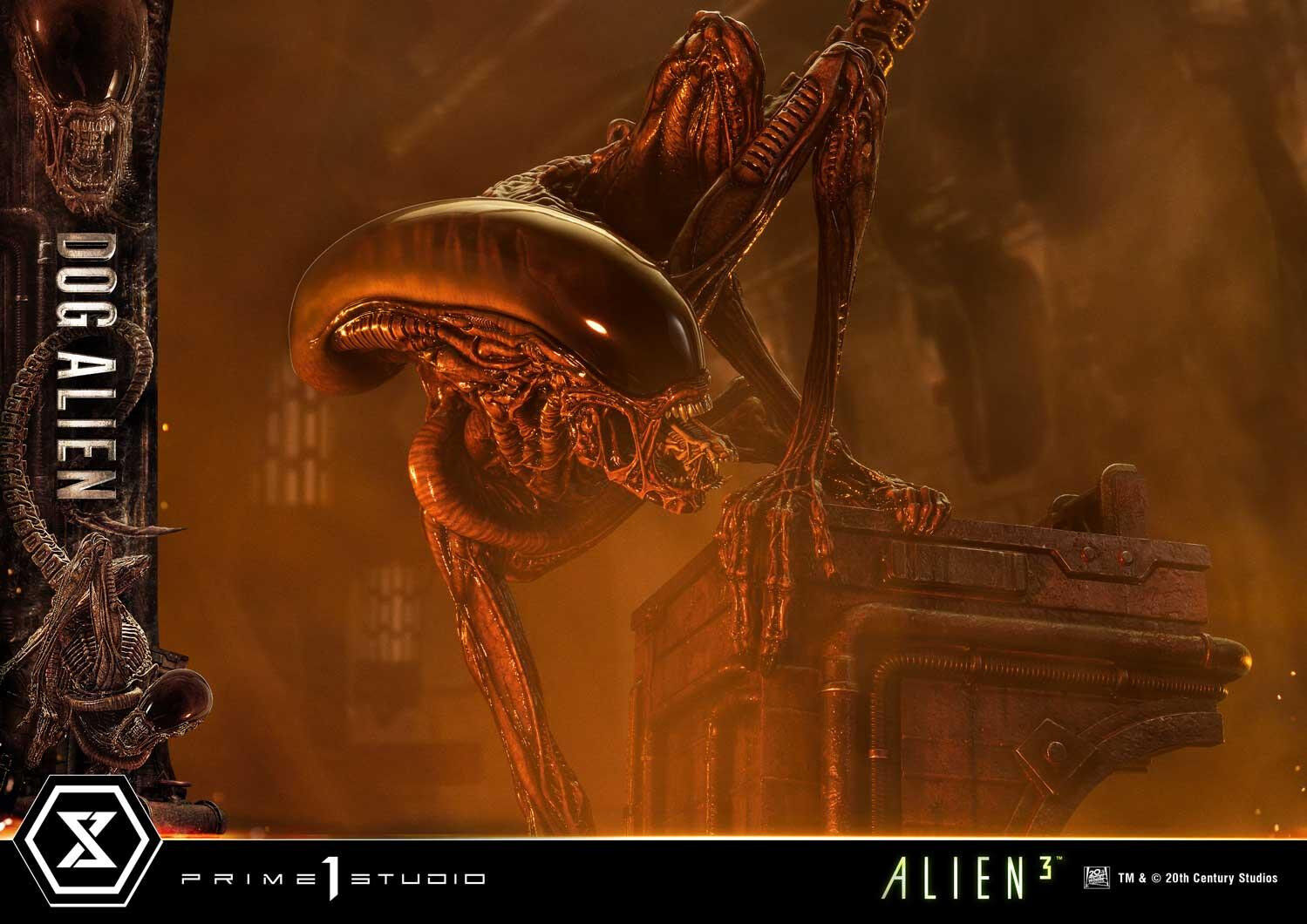 Alien 3 - Dog Alien - Museum Masterline XL (MMXLAL-01) - 1/3 (Prime 1 Studio) photo 43