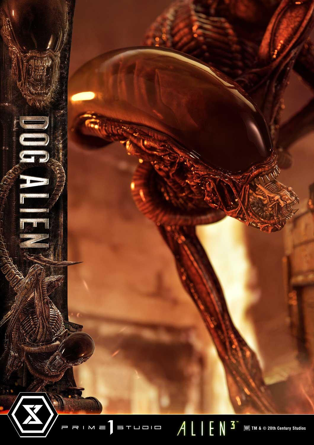Alien 3 - Dog Alien - Museum Masterline XL (MMXLAL-01) - 1/3 (Prime 1 Studio) photo 52