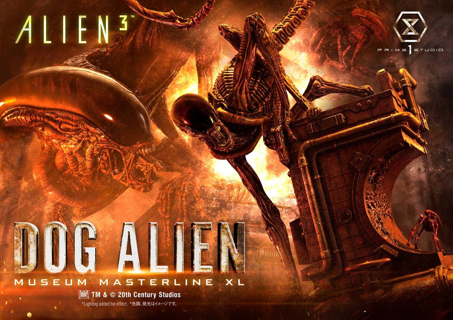 Alien 3 - Dog Alien - Museum Masterline XL (MMXLAL-01) - 1/3 (Prime 1 Studio) photo 59
