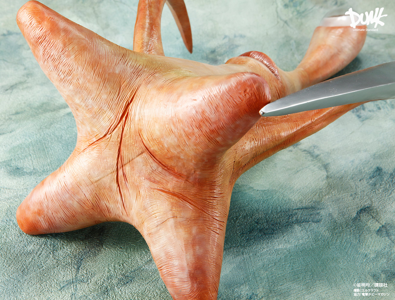 Kiseijuu - Migi - 1/1 (Dunk) photo 4