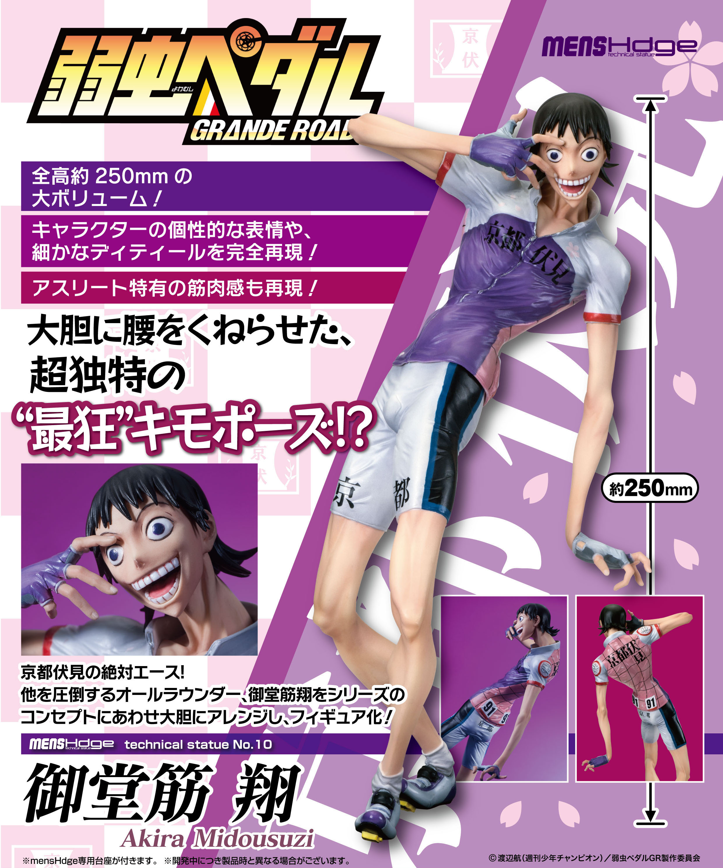 Yowamushi Pedal Grande Road - Midousuji Akira - Hdge - Mens Hdge  (No.10) (Union Creative International Ltd) photo 12