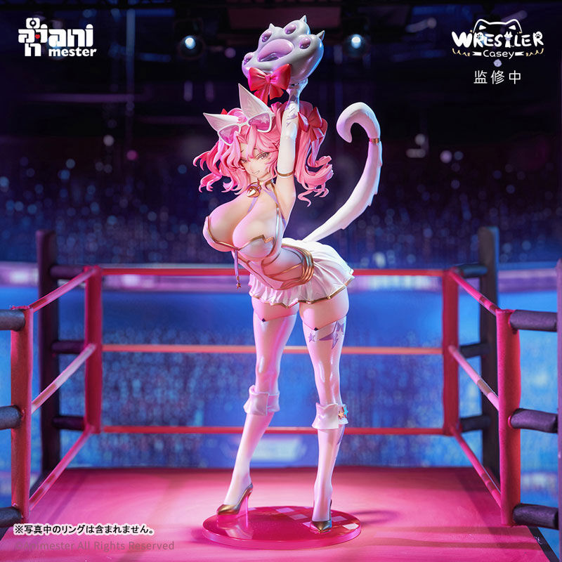 Original - NyanNyan Girl Wrestler Casey - 1/6 (AniMester) photo 4