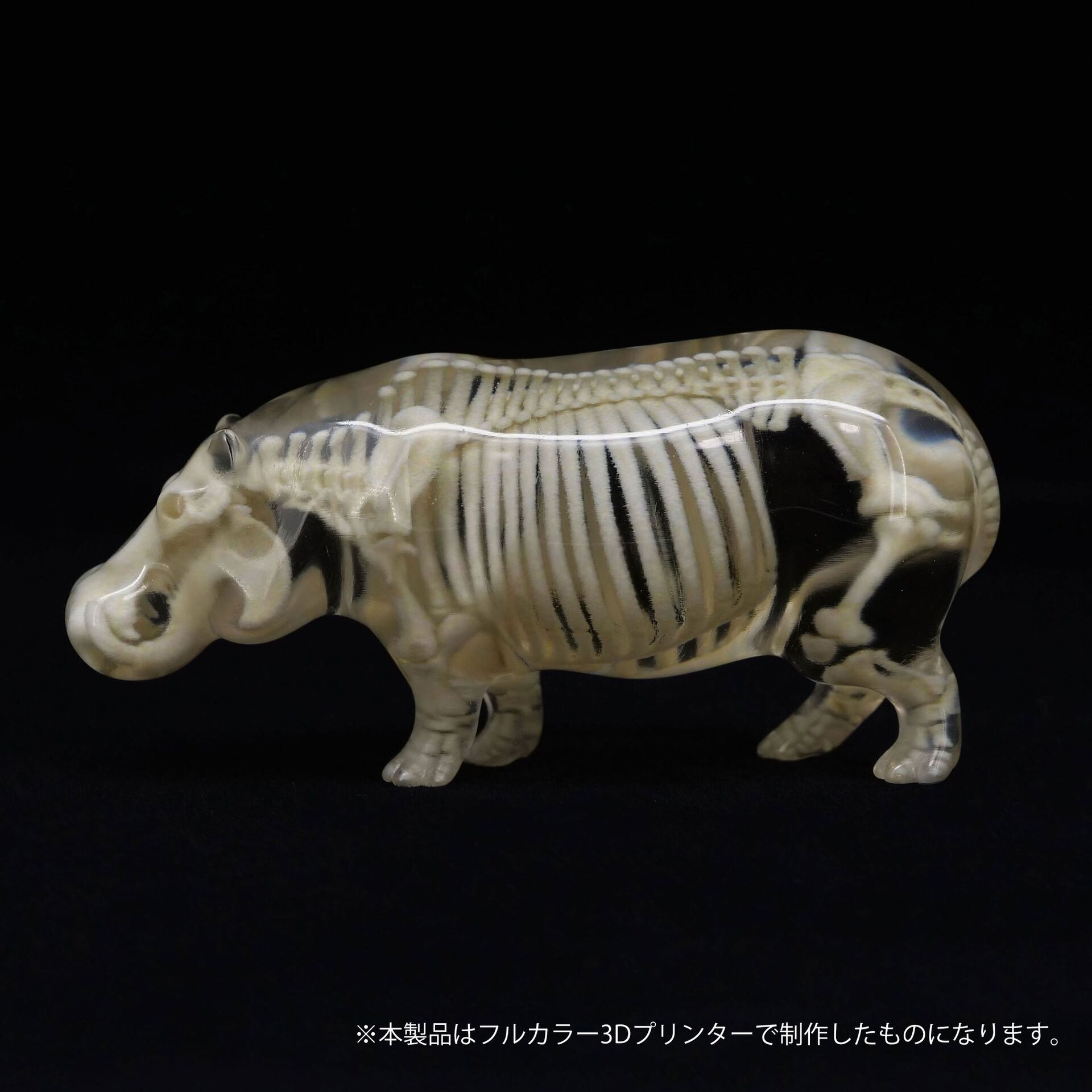 Original - Jade Bone Specimen - Hippopotamus - S Size (Yoshimoto Art Factory) photo 1