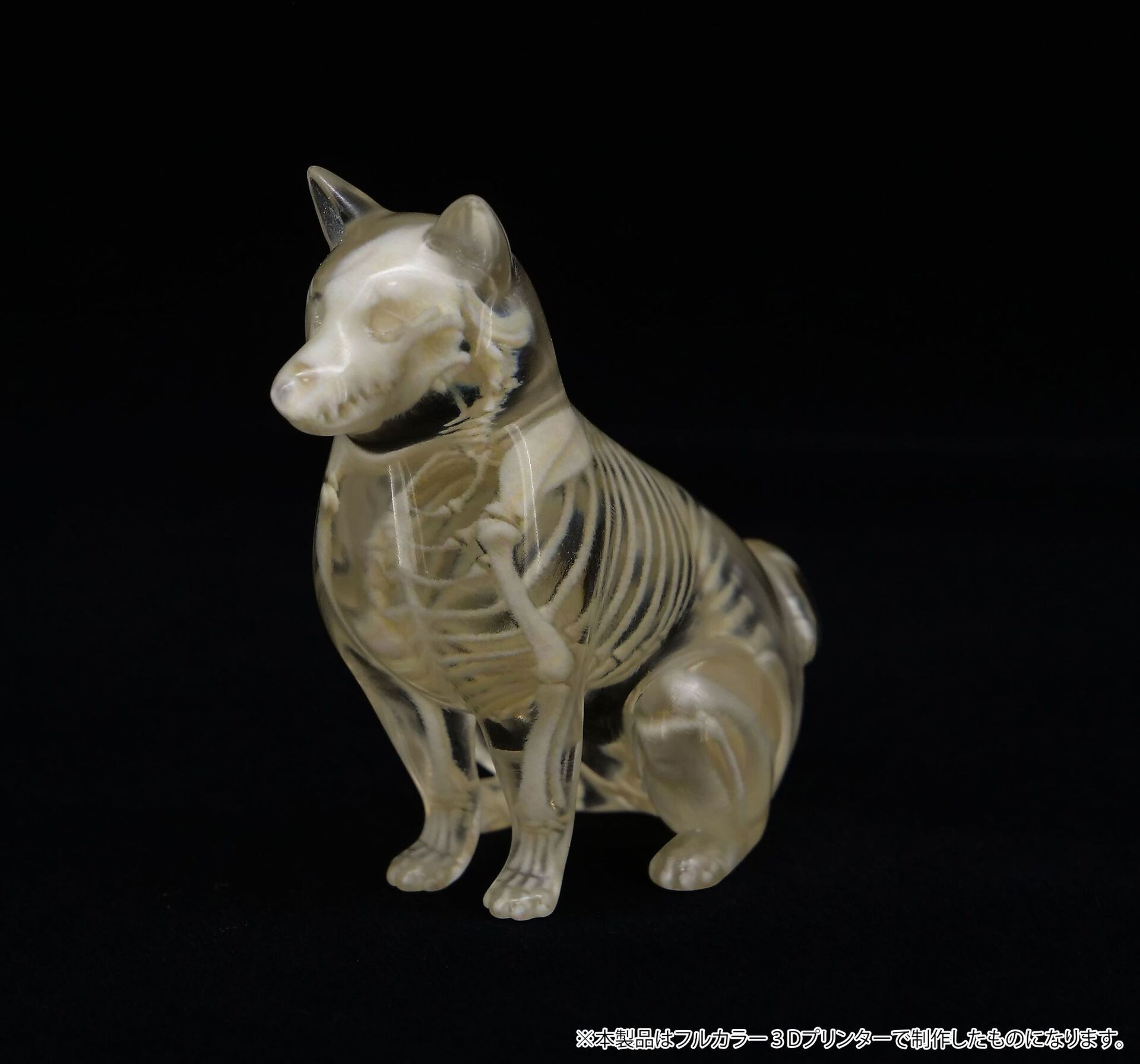 Original - Jade Bone Specimen - Shiba Inu - S Size (Yoshimoto Art Factory) photo 1