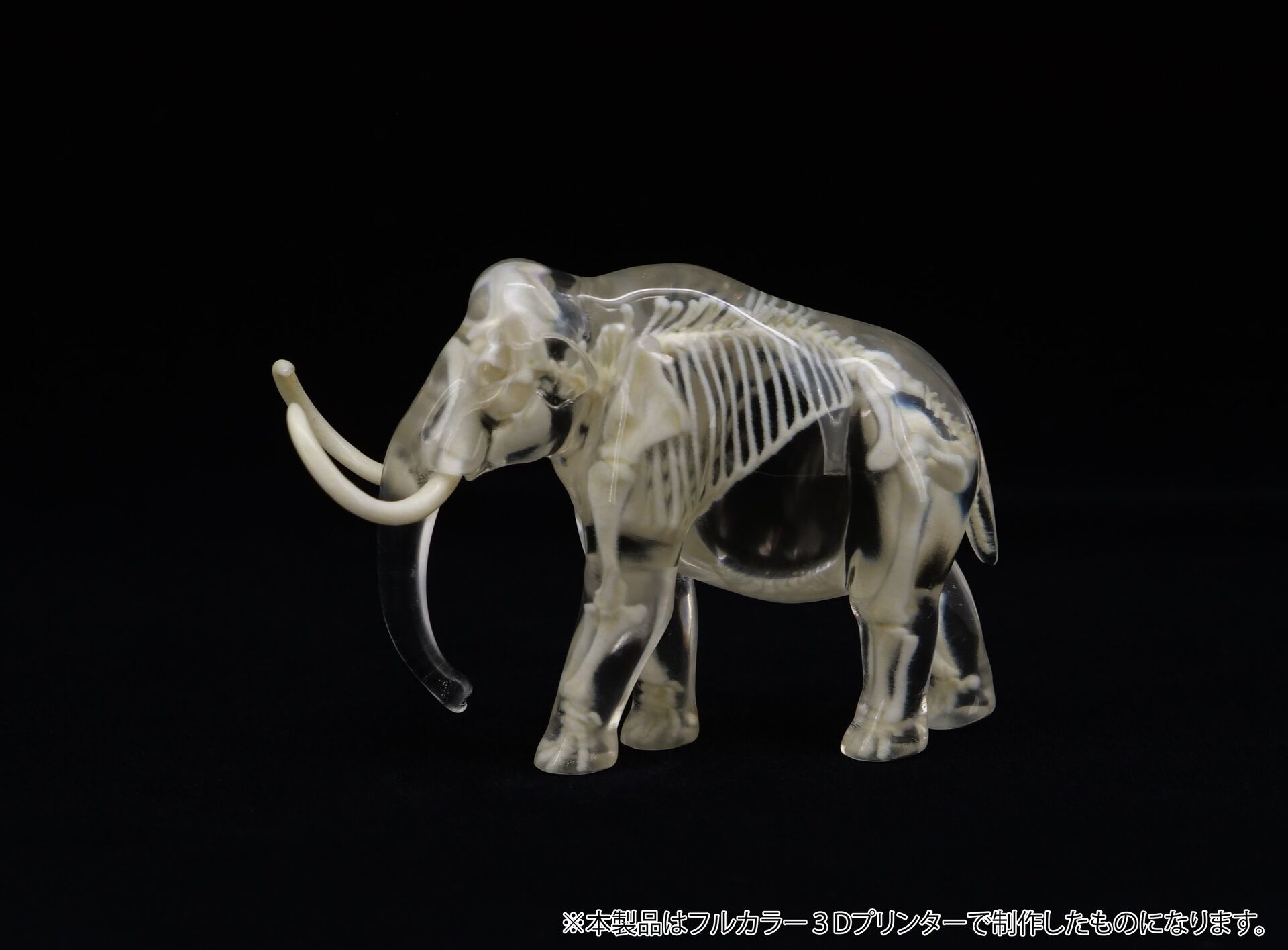 Original - Jade Bone Specimen - Woolly Mammoth - S Size (Yoshimoto Art Factory) photo 1