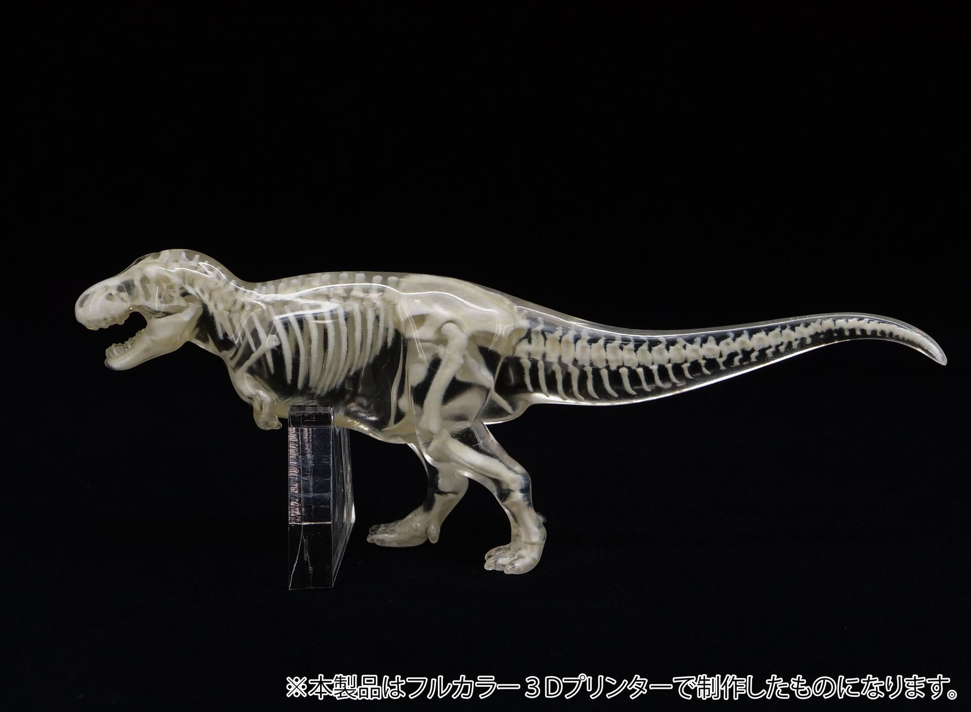 Original - Jade Bone Specimen - Tyrannosaurus - S Size (Yoshimoto Art Factory) photo 1