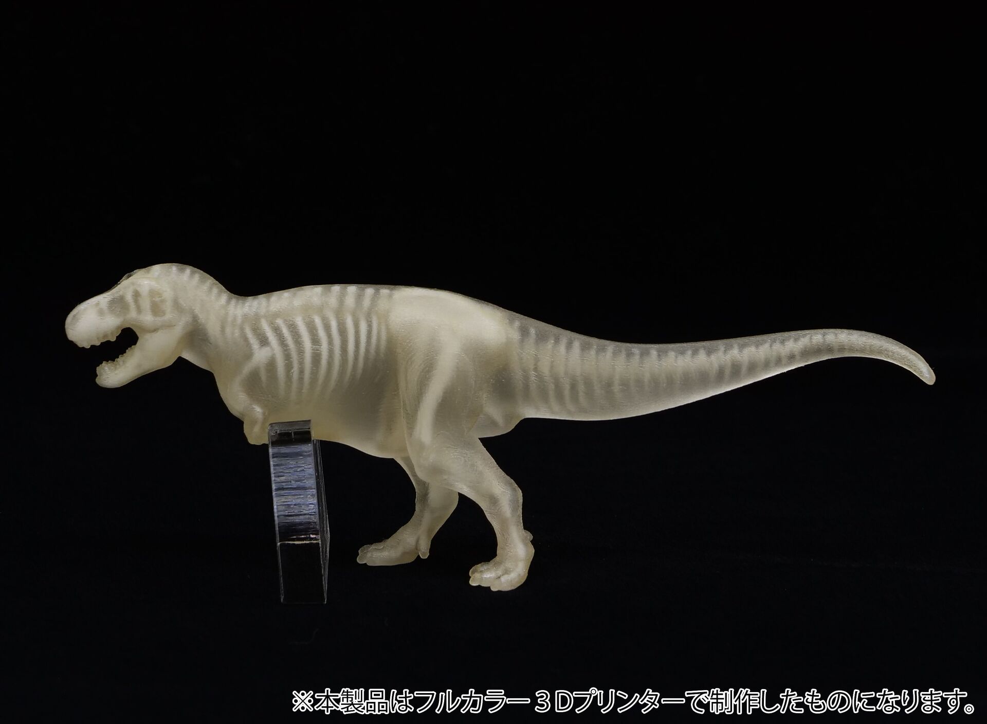 Original - Jade Bone Specimen - Tyrannosaurus - S Size (Yoshimoto Art Factory) photo 2