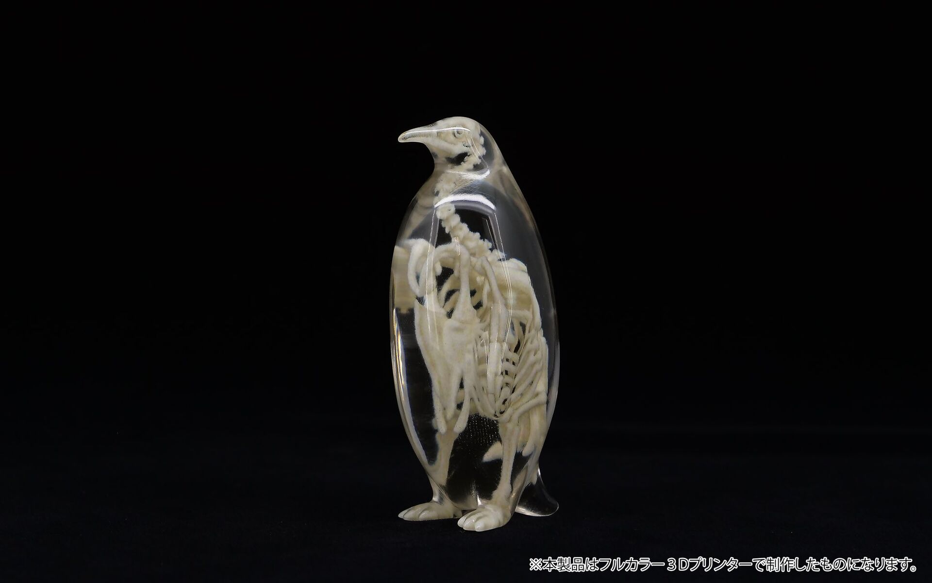 Original - Jade Bone Specimen - Emperor Penguin - S Size (Yoshimoto Art Factory) photo 1