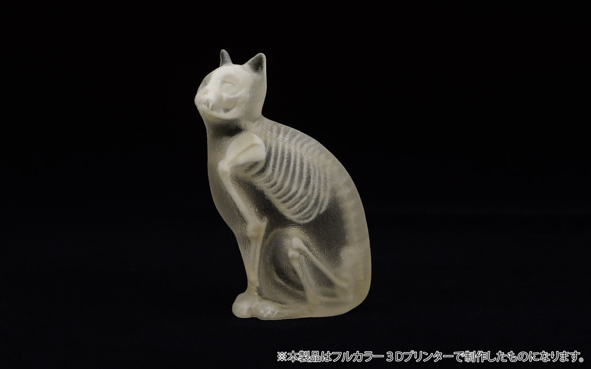 Original - Jade Bone Specimen - Domestic cat - S Size (Yoshimoto Art Factory) photo 1