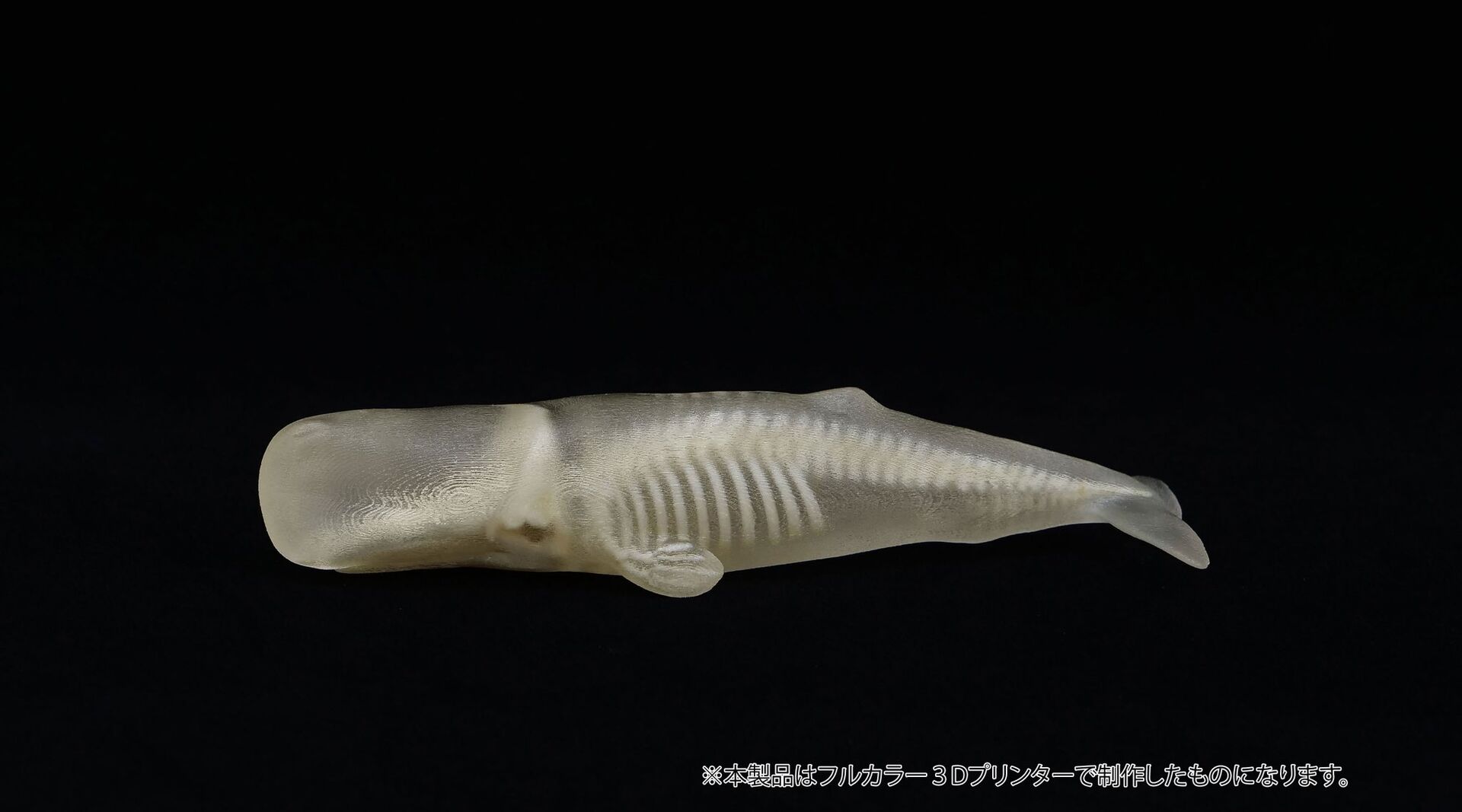 Original - Jade Bone Specimen - Sperm Whale - S Size (Yoshimoto Art Factory) photo 1