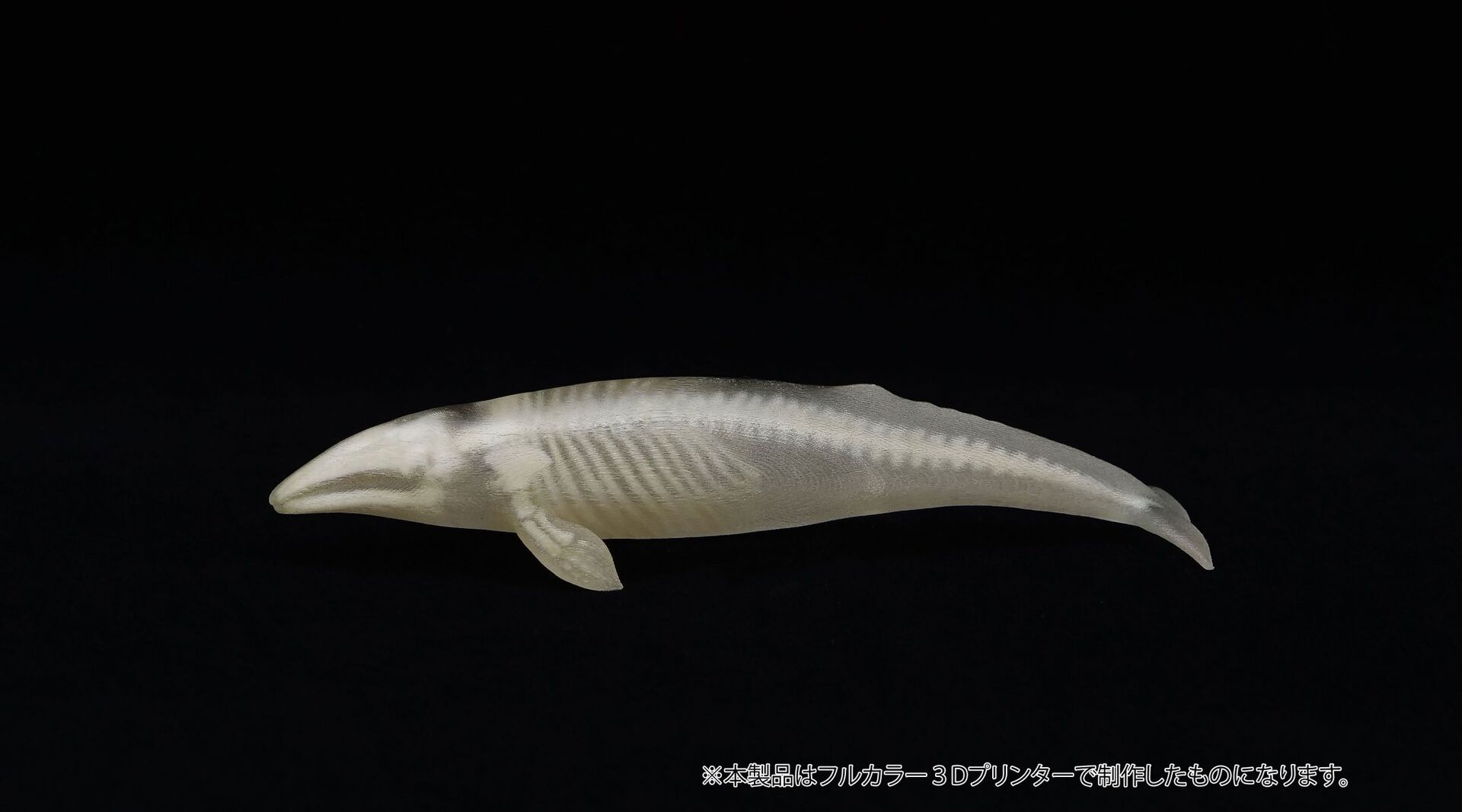 Original - Jade Bone Specimen - Gray Whale - S Size (Yoshimoto Art Factory) photo 1