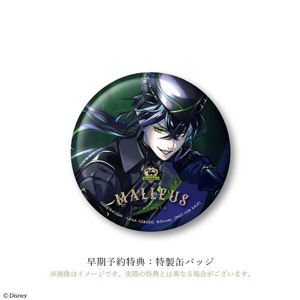 Twisted Wonderland - Malleus Draconia - 1/8 (Aniplex) photo 11