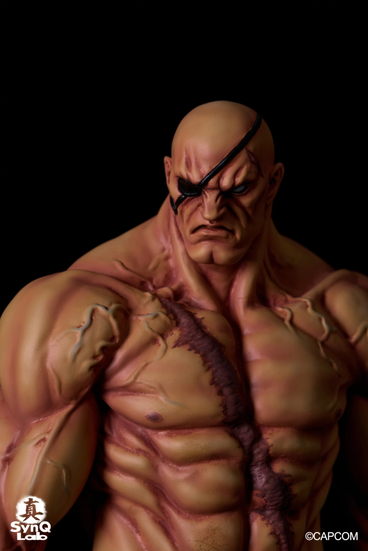 Street Fighter II - Sagat - 1/6 (SynQ-Lab) photo 2