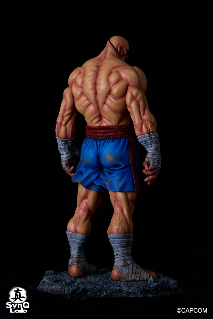 Street Fighter II - Sagat - 1/6 (SynQ-Lab) photo 8