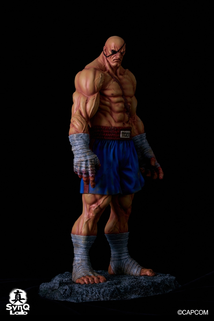 Street Fighter II - Sagat - 1/6 (SynQ-Lab) photo 10