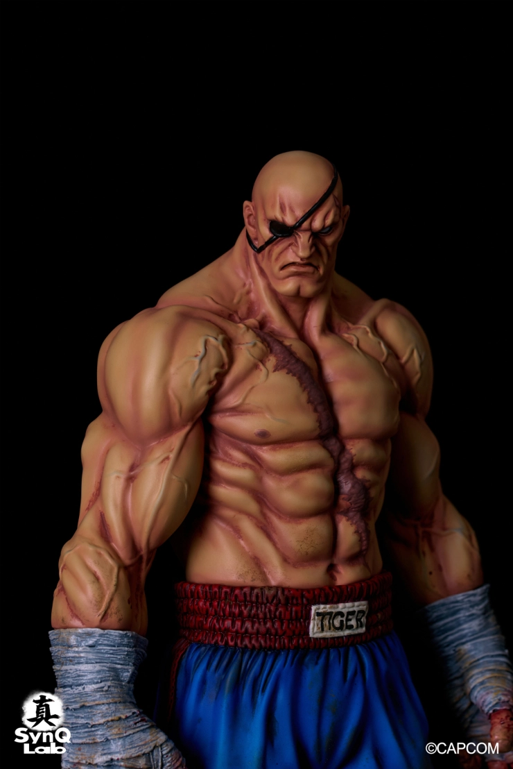 Street Fighter II - Sagat - 1/6 (SynQ-Lab) photo 13