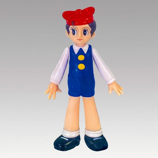 Mitchii