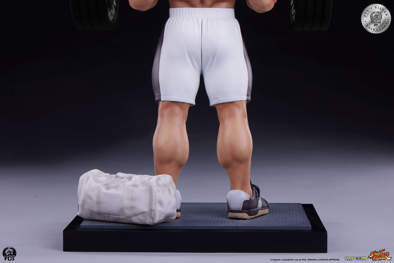 Street Fighter V - Ryu - Gym/Fitness/Powerlifting - 1/4 - Battle (Premium Collectibles Studio) photo 10