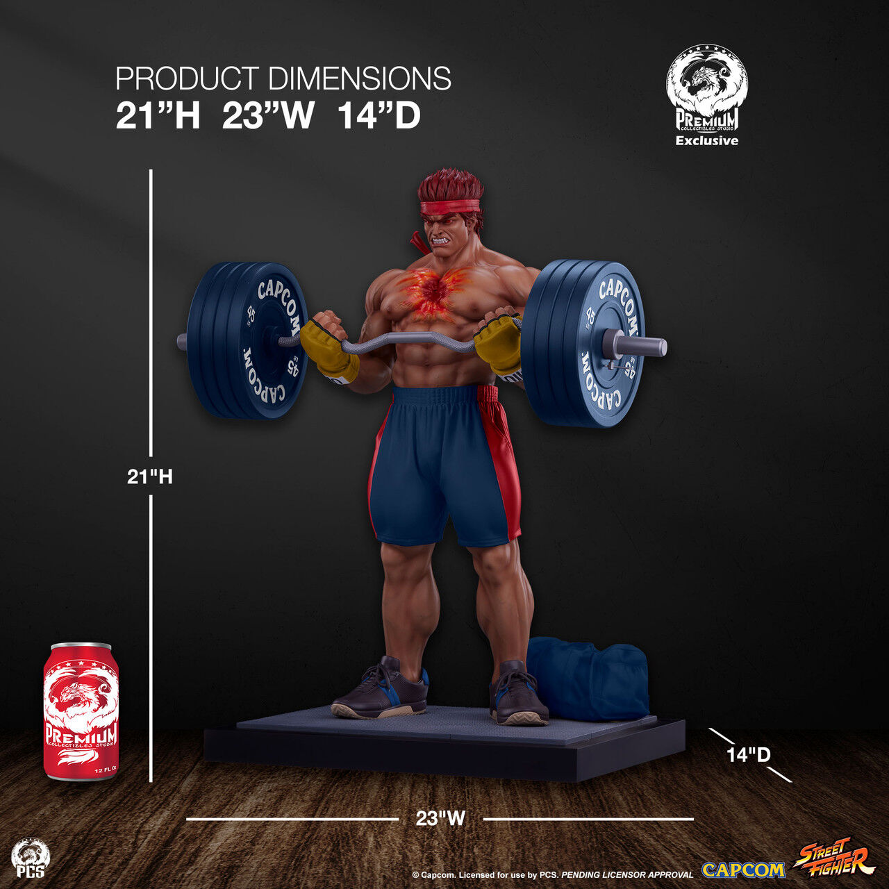 Ultra Street Fighter IV - Satsui no Hadou ni Mezameta Ryuu - Gym/Fitness/Powerlifting - 1/4 (Premium Collectibles Studio) photo 3