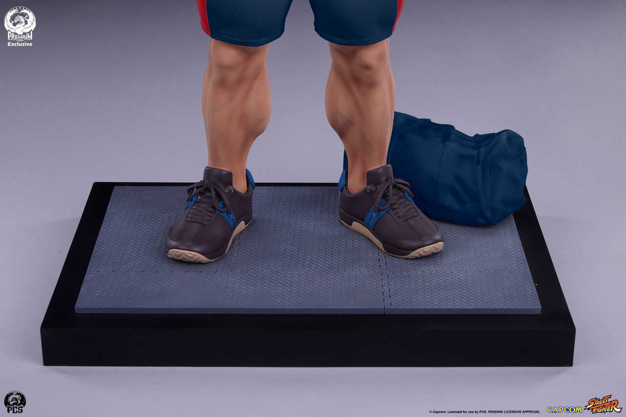 Ultra Street Fighter IV - Satsui no Hadou ni Mezameta Ryuu - Gym/Fitness/Powerlifting - 1/4 (Premium Collectibles Studio) photo 6