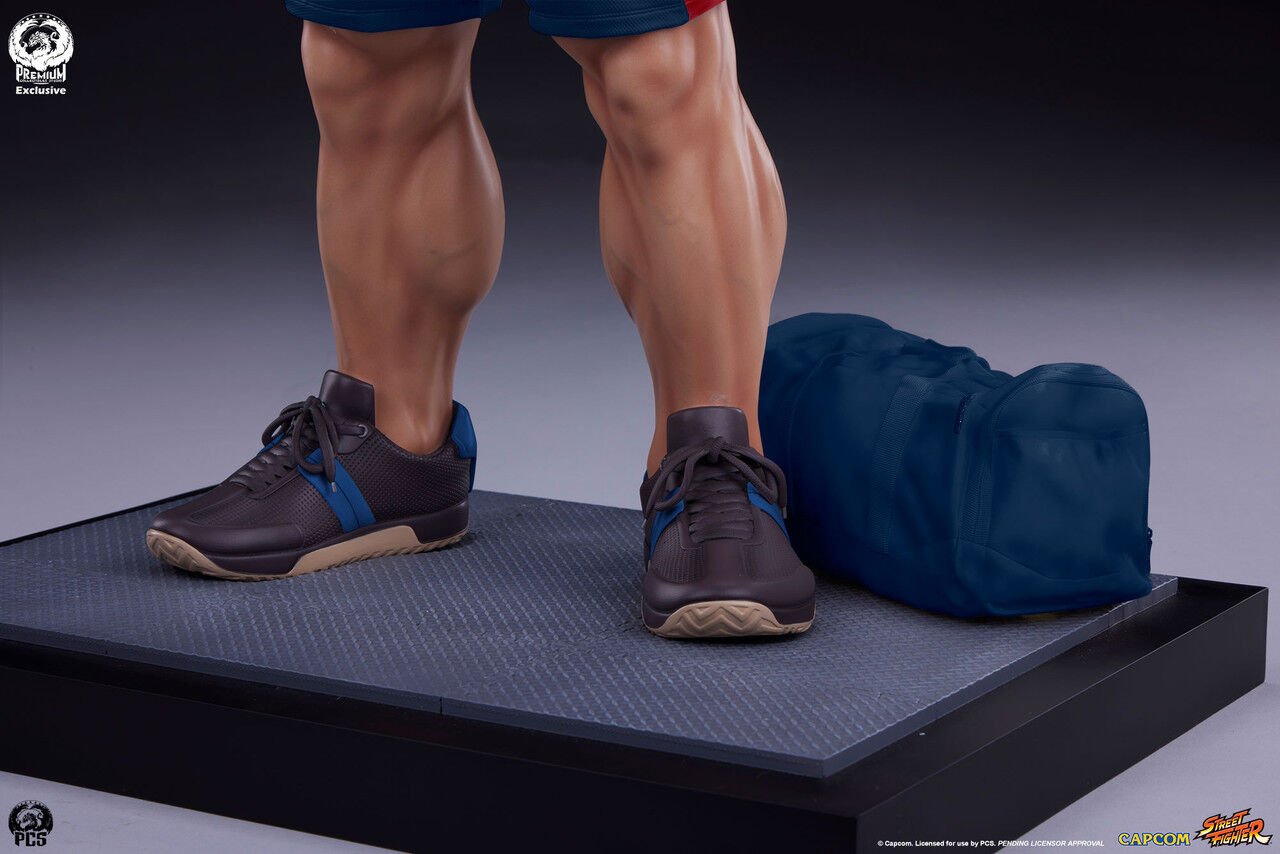 Ultra Street Fighter IV - Satsui no Hadou ni Mezameta Ryuu - Gym/Fitness/Powerlifting - 1/4 (Premium Collectibles Studio) photo 8