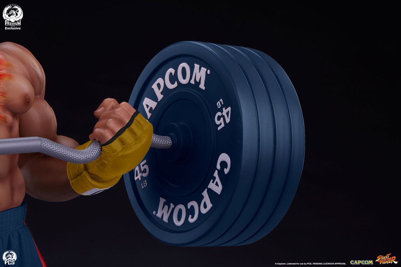 Ultra Street Fighter IV - Satsui no Hadou ni Mezameta Ryuu - Gym/Fitness/Powerlifting - 1/4 (Premium Collectibles Studio) photo 11