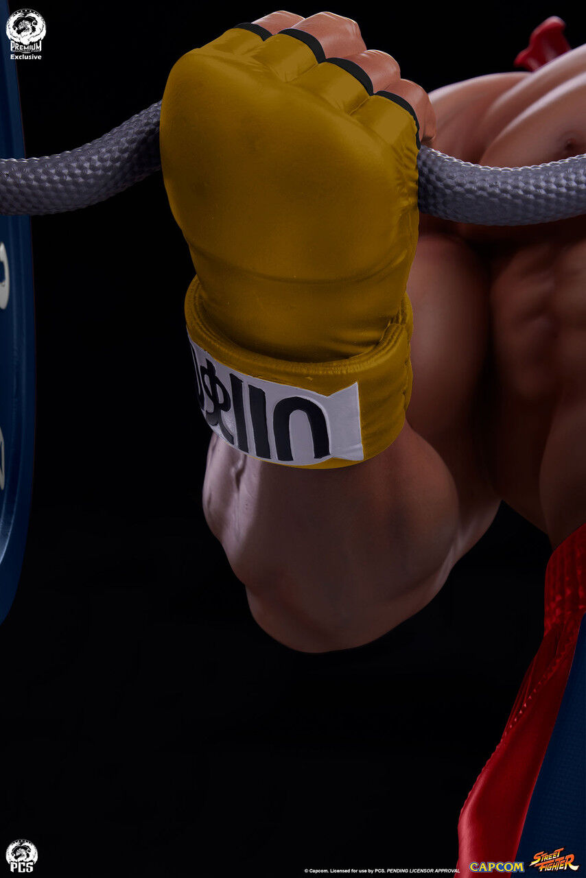 Ultra Street Fighter IV - Satsui no Hadou ni Mezameta Ryuu - Gym/Fitness/Powerlifting - 1/4 (Premium Collectibles Studio) photo 12