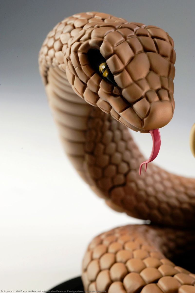 Naruto Shippuuden - Orochimaru - DX-Tra - X-tra - 1/10 (Tsume) photo 8