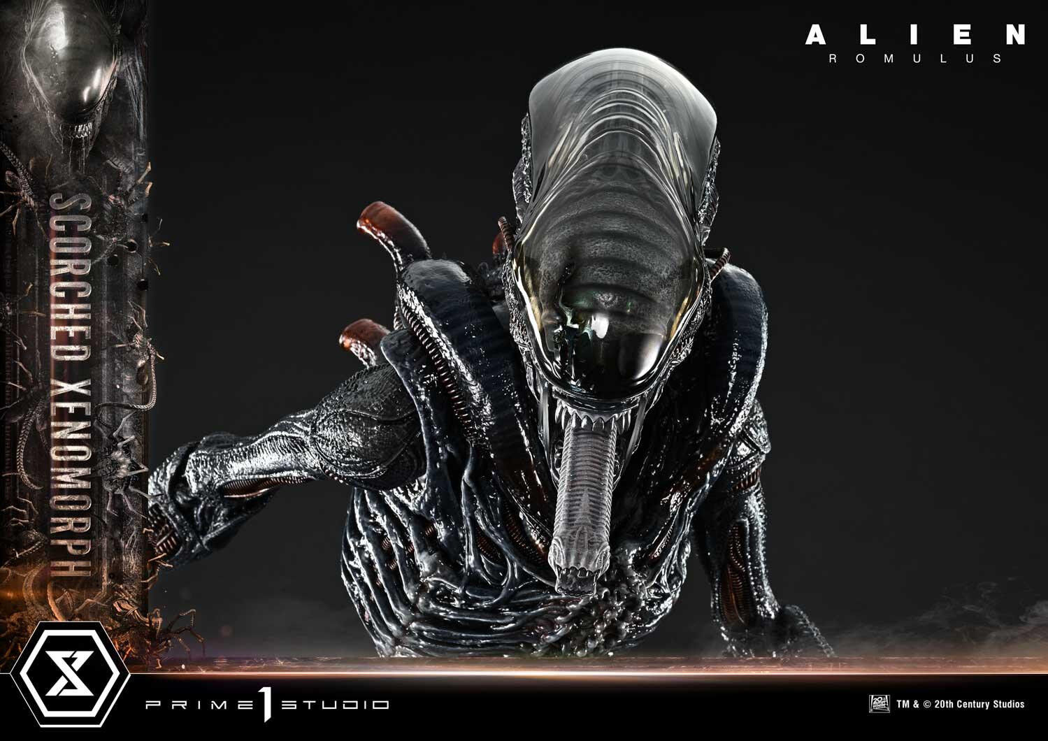 Alien: Romulus - Facehugger - Scorched Alien - Museum Masterline XL (MMXLAL-02) - 1/3 (Prime 1 Studio) photo 2