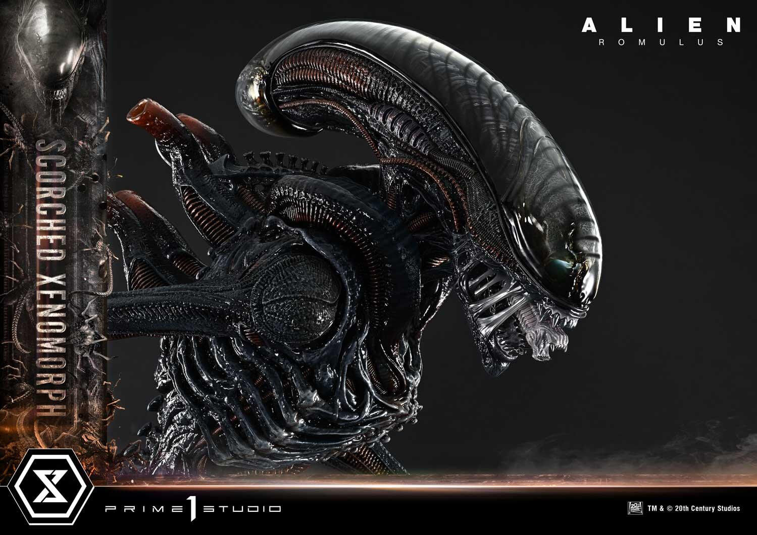 Alien: Romulus - Facehugger - Scorched Alien - Museum Masterline XL (MMXLAL-02) - 1/3 (Prime 1 Studio) photo 7