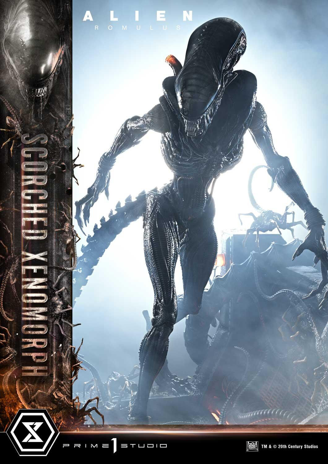 Alien: Romulus - Facehugger - Scorched Alien - Museum Masterline XL (MMXLAL-02) - 1/3 (Prime 1 Studio) photo 32