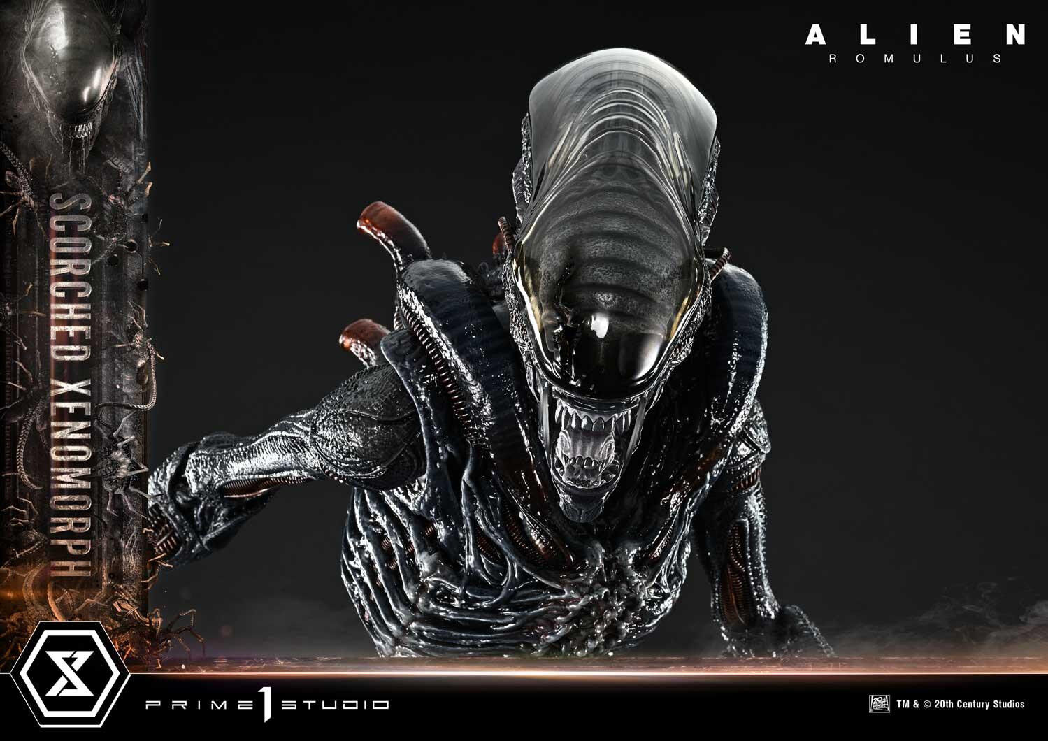 Alien: Romulus - Facehugger - Scorched Alien - Museum Masterline XL (MMXLAL-02) - 1/3 (Prime 1 Studio) photo 43