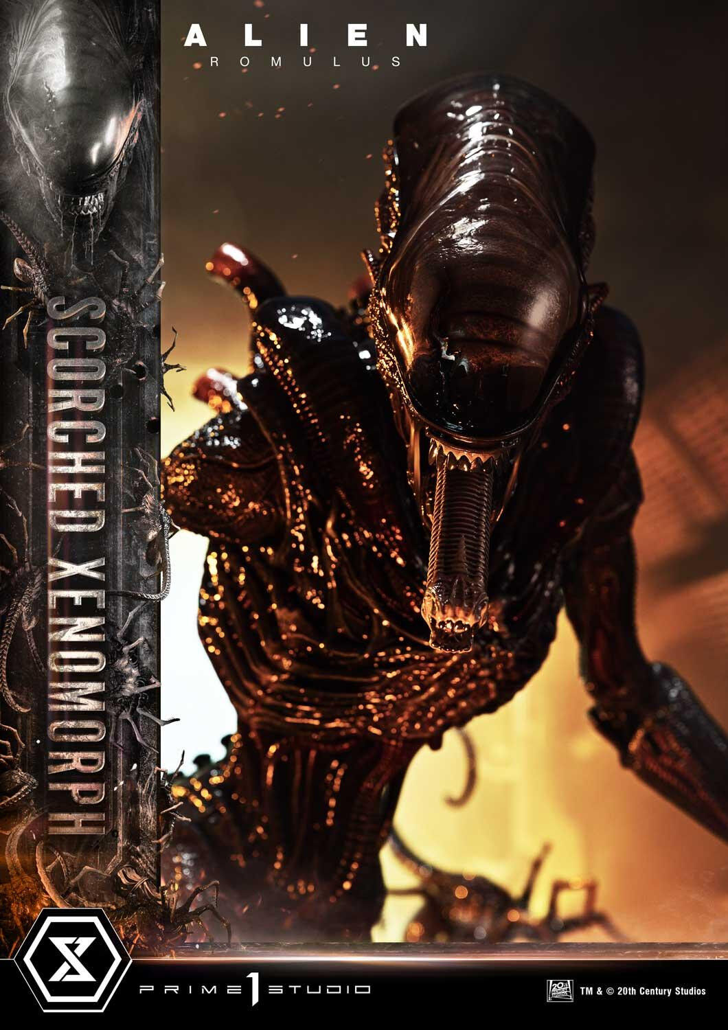 Alien: Romulus - Facehugger - Scorched Alien - Museum Masterline XL (MMXLAL-02) - 1/3 (Prime 1 Studio) photo 49